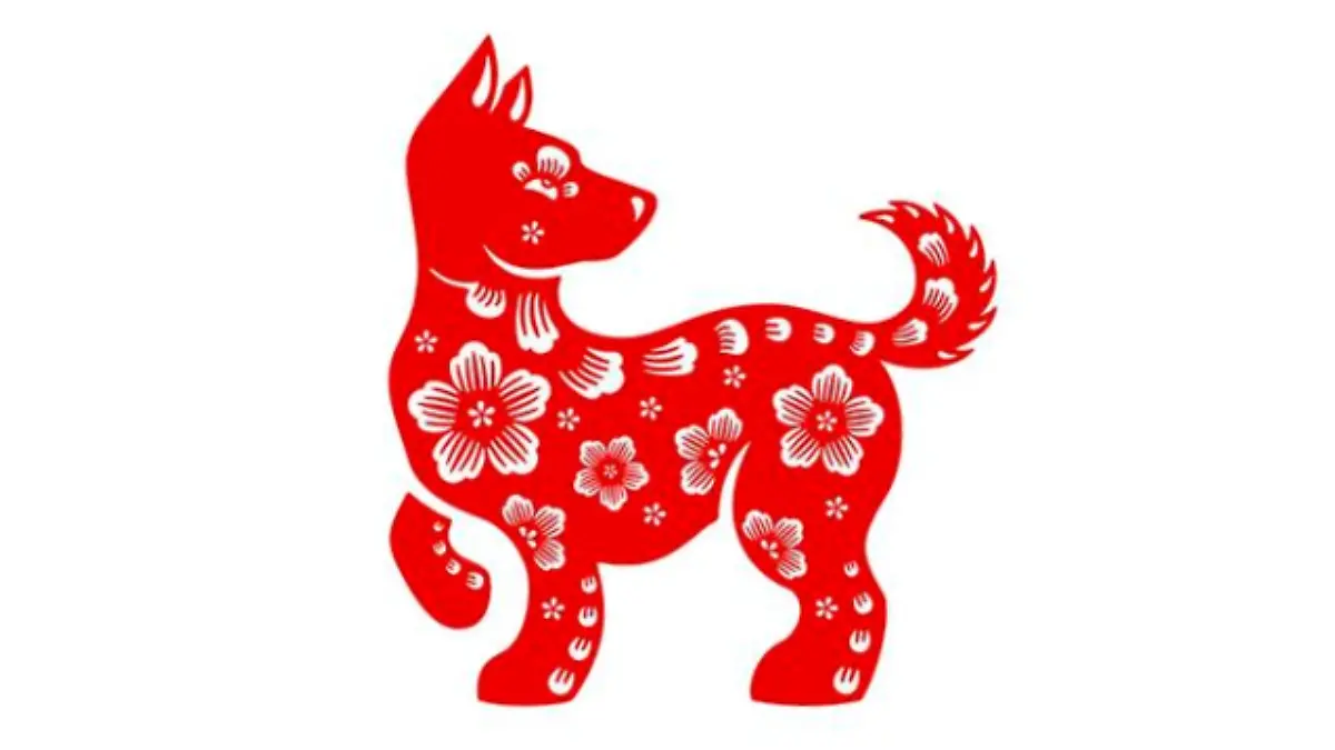 SIGNO PERRO